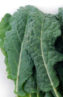 KALE the Superfood- UPDATE