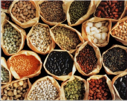 Did you miss National Bean Day, Saturday, January 6th?