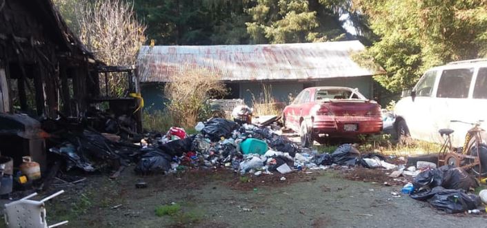 Bittersweet clean up on private property
