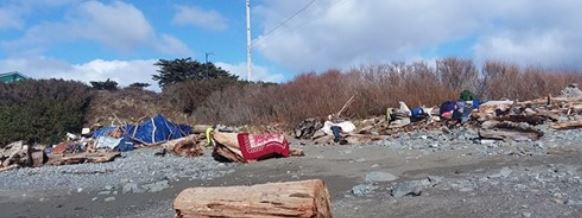 The Failure Of Trying To House The Homeless