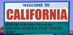 Cannabis Heaven Soon To Be Subsidized