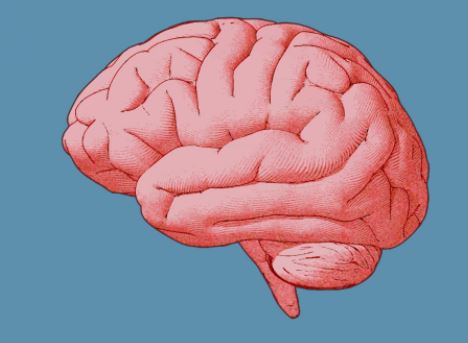 Damaging the brains of our children:  Fluoride