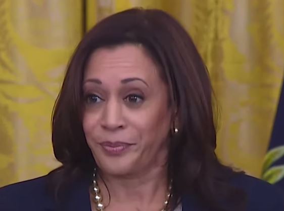 Netflix and Kamala Harris. How Do You Feel About This?
