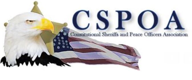 Do We Need a “Constitutional Sheriff?”