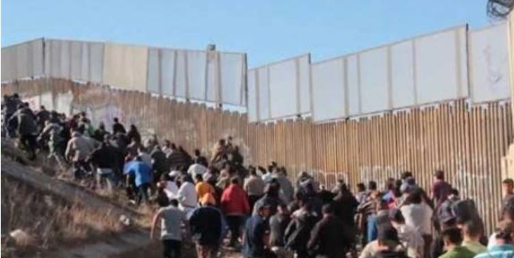 Revelation on Harris Treacherous Border Conspiracy