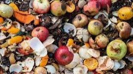 DNSWMA Resurfaces To Talk About Food Waste Recycling