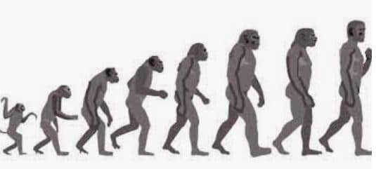 What do I need to know about … Science Part IV