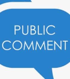 Public Comments at Government Meetings
