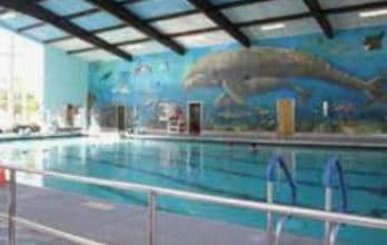 FREE SWIM!