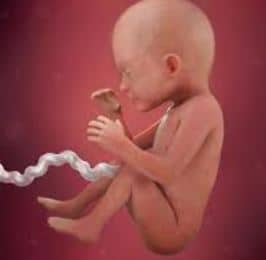 BREAKING NEWS: It’s Still Going to Be  Legal to Murder Babies in the Womb In Many States Even After Roe v Wade is Overturned