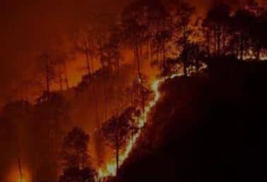 Wildfire Preparedness is Year Round!