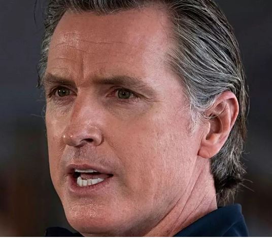 The Anti-Newsom Playbook
