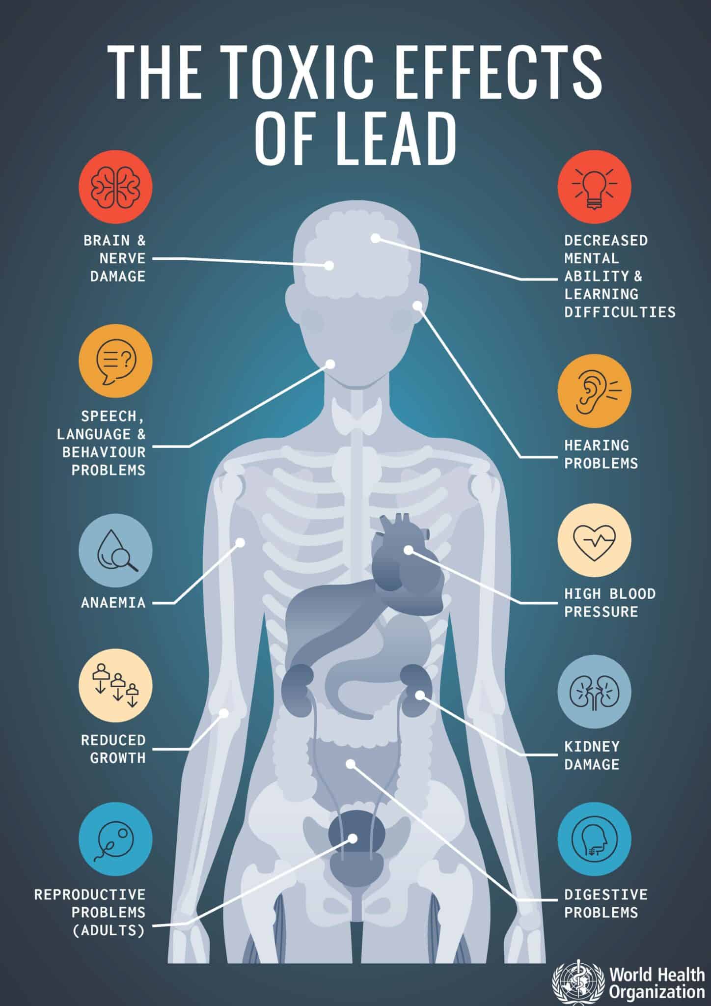 TEN CASES OF LEAD POISONING REPORTED
