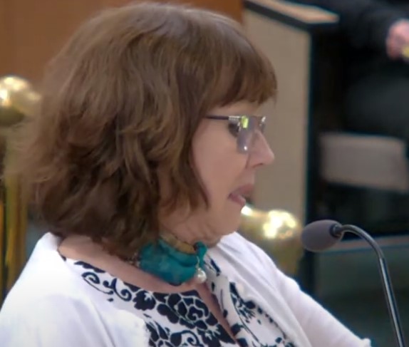 UNLAWFUL CENSORSHIP AND REMOVAL OF COMMISSIONER ANNIE NEHMER FROM VICE CHAIR POSITION