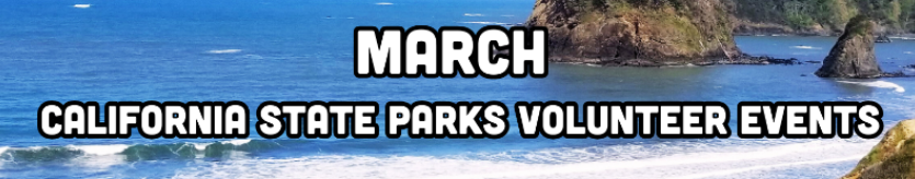Volunteer Events
